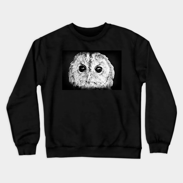 Little Tawny Owl Crewneck Sweatshirt by AlexaZari